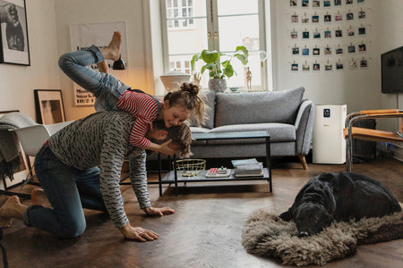 KARCHER AF 50 Air Purifier KARCHER