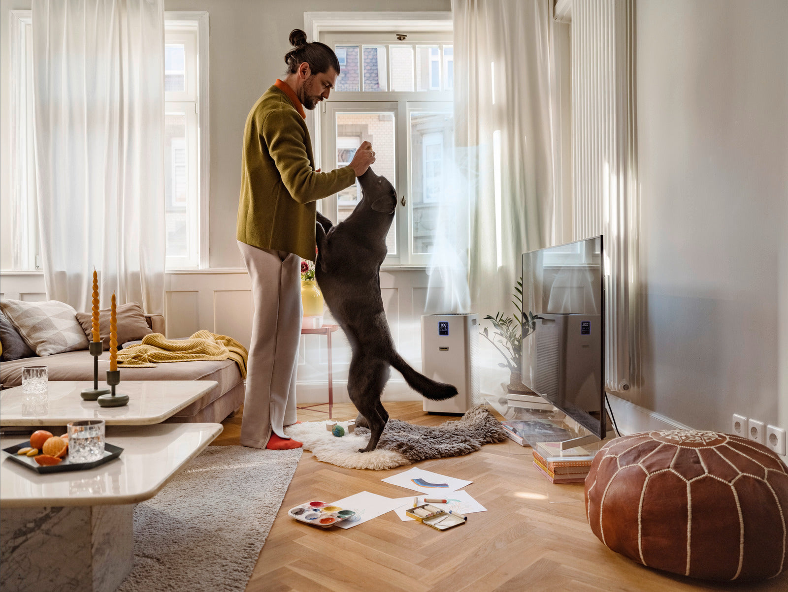 KARCHER AF 50 Air Purifier KARCHER