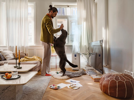 KARCHER AF 50 Air Purifier KARCHER