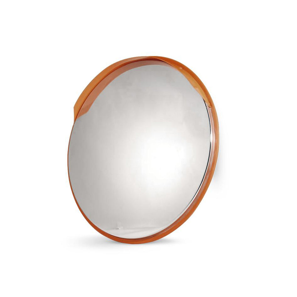 PROGUARD CM-SS-600 Stainless Steel Convex Mirror