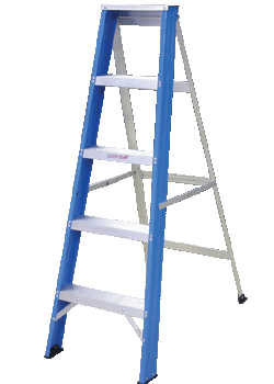 EVERLAS Single Sided Ladder (4/5/6/7/8/10 STEPS)