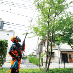 Makita DUA301ZB Cordless Pole Saw 18Vx2 Brushless